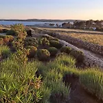 Family-friendly With Swimming Pool Povljana, Pag - 25291 Povljana