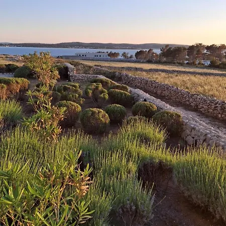 Family-friendly With Swimming Pool Povljana, Pag - 25291 Povljana