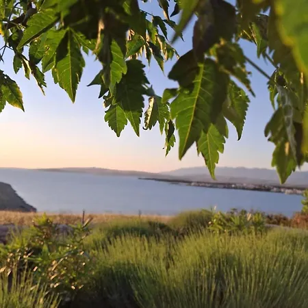 Family-friendly With Swimming Pool Povljana, Pag - 25291 Apartment